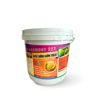 GPX SIÊU LỚN TRÁI