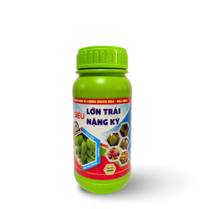 SIÊU LỚN TRÁI NẶNG KÝ