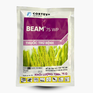 BEAM 75 WP