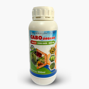CABO ORGANIC